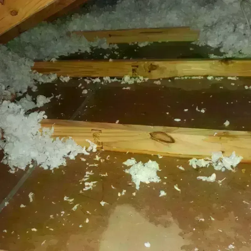 Attic Water Damage in Bedford, IA